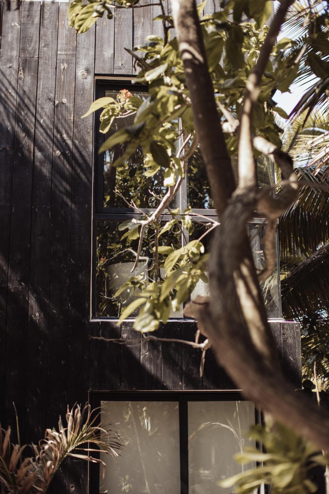 Umi Tulum Hotel Eksteriør billede
