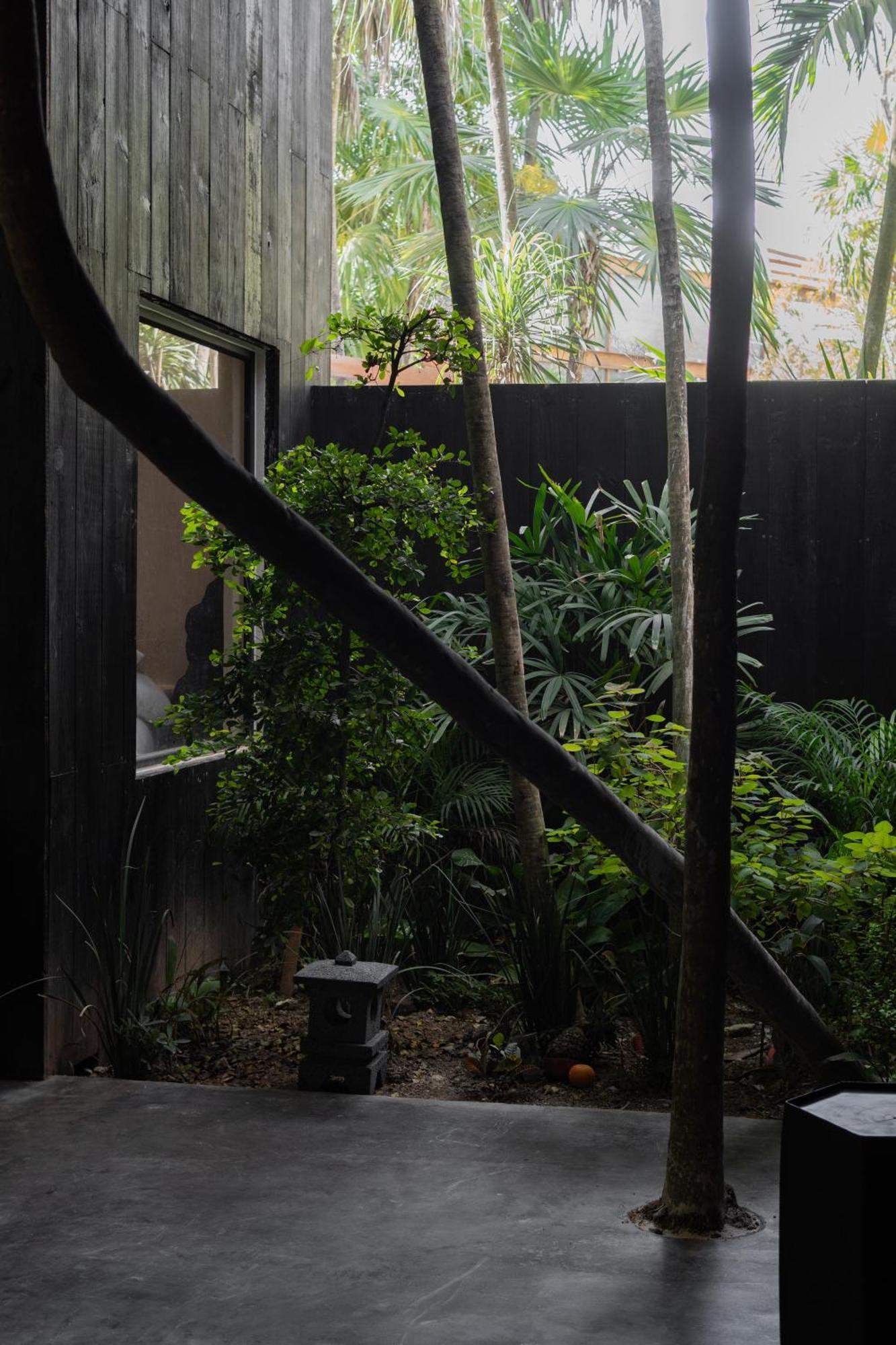 Umi Tulum Hotel Eksteriør billede